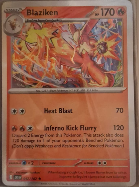 blaziken h nm ing dr