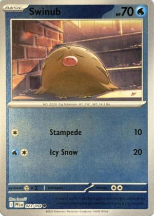 swinub rh nm ing pf